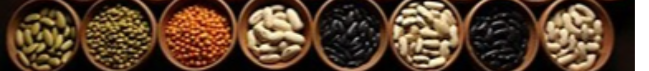 Recipe Master Banner