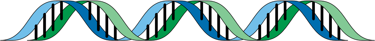 Family History Enthusiast Banner