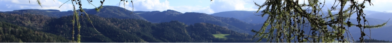 Schwarzwald - Wanderungen Banner