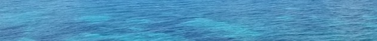 bornagainboating.com Banner
