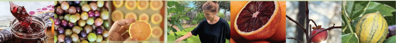 thefruitgrove.com Banner