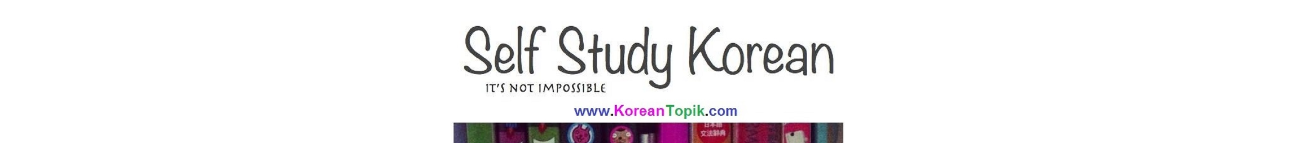 Learn Korean with KoreanTopik Banner