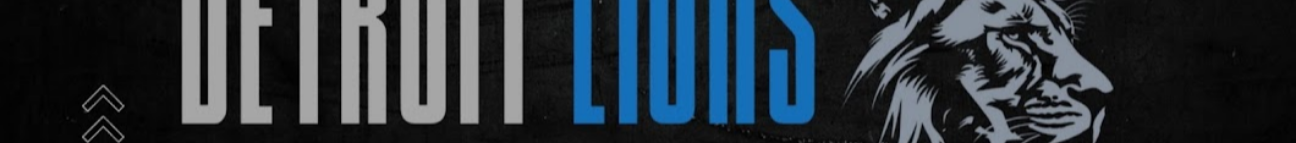 detroitsportsnation.com Banner
