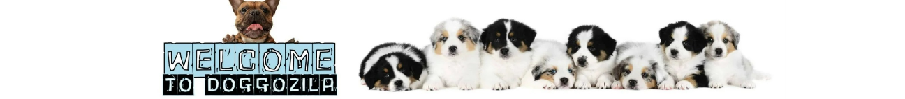 Doggozila Magazine Banner