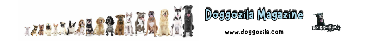 Doggozila Magazine Banner