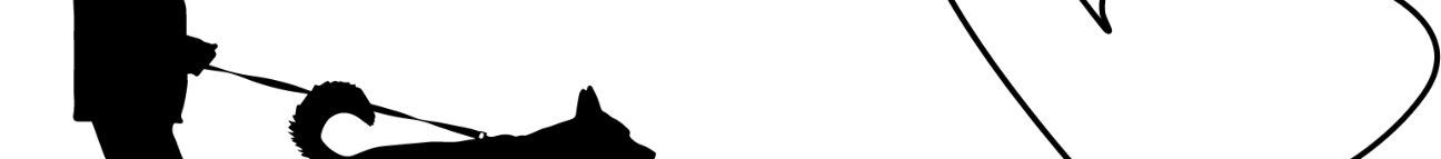 baloostar1 Banner
