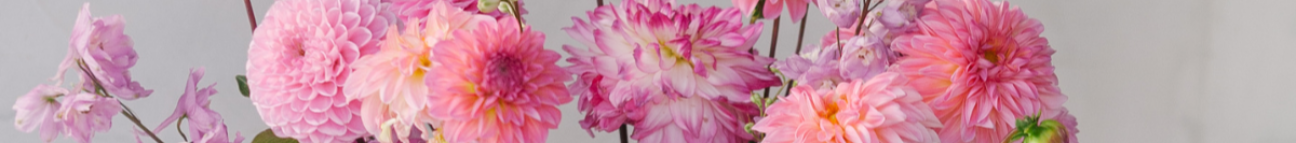 Blooming flowers Banner
