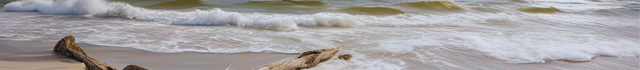tightlinesandhightides.com Banner