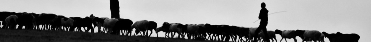 pastorjasonelder.com Banner
