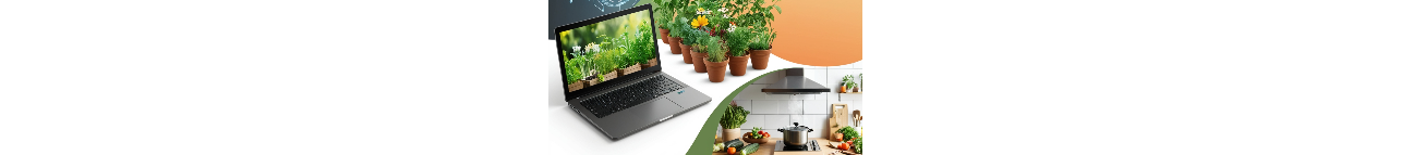 Curious Clicks Banner