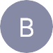 borghild Logo
