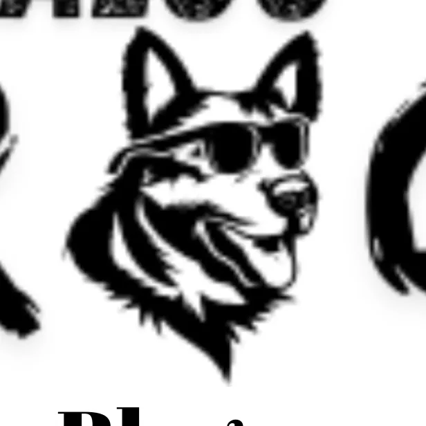 baloostar1 Logo