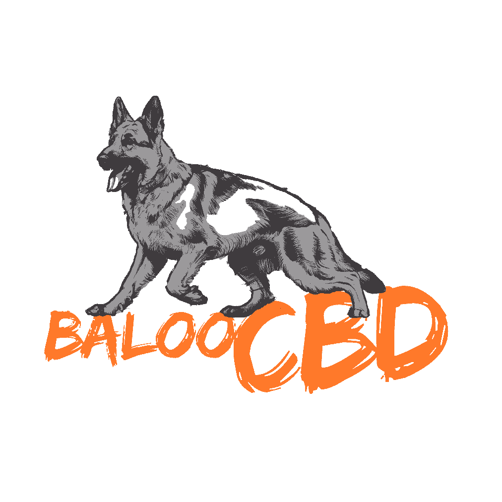 baloocbd Logo