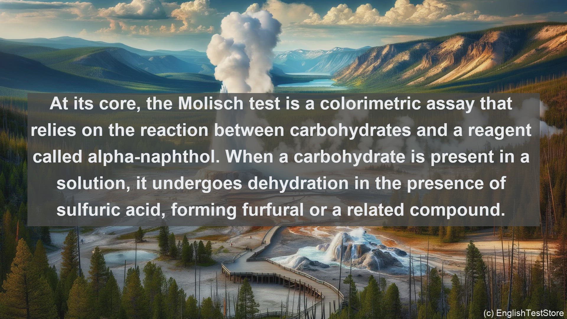 'Video thumbnail for Molisch test in science  definition and examples'
