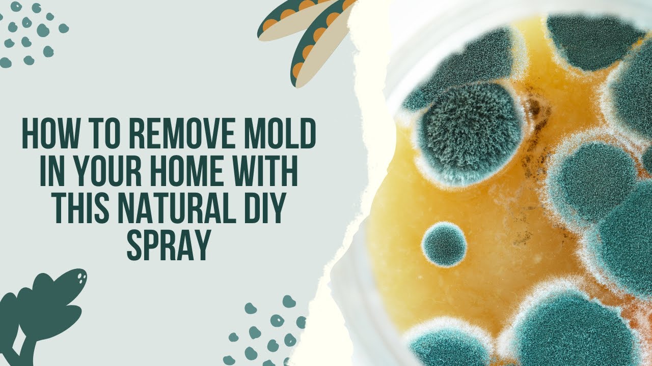 Video thumbnail for Spray This DIY Oil And You Will Never See Mold In Your Home Again