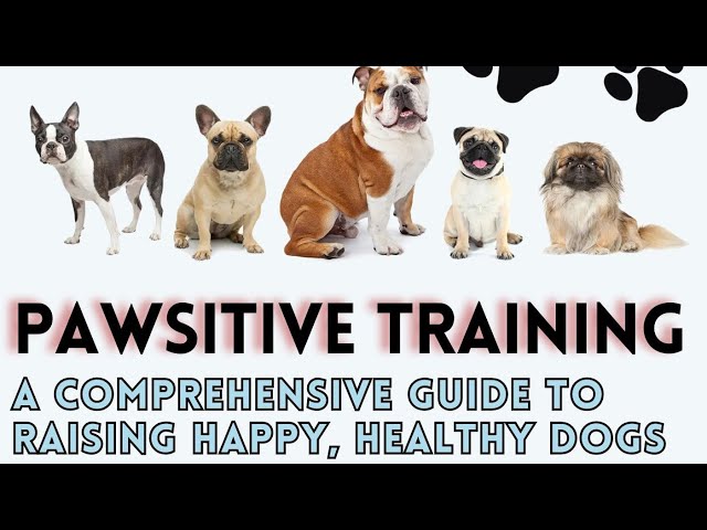 'Video thumbnail for Audio Book to Raising Happy and Healthy Dogs'