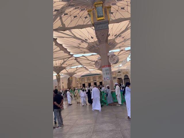 Video thumbnail for Masjid al nabawi #madina  #shortvideo #saudiaarbia #trustonallah #ayeshavilla  #islamicstatus #aliza
