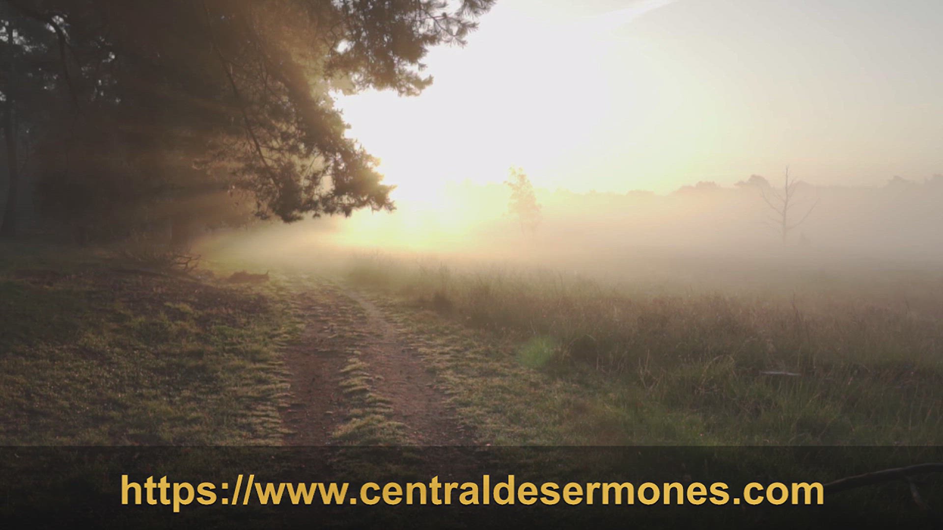 'Video thumbnail for Oración de la Mañana .. Salmo 91... Inicia tu día con una conexión espiritual profunda'
