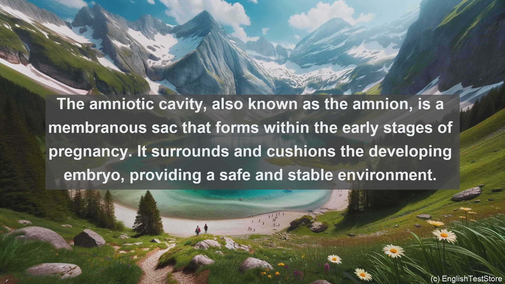 'Video thumbnail for Amniotic cavity in science  definition and examples'