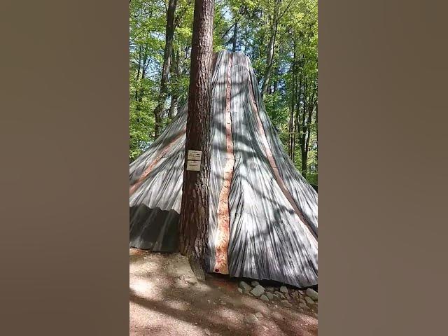 Video thumbnail for me and my children happy days