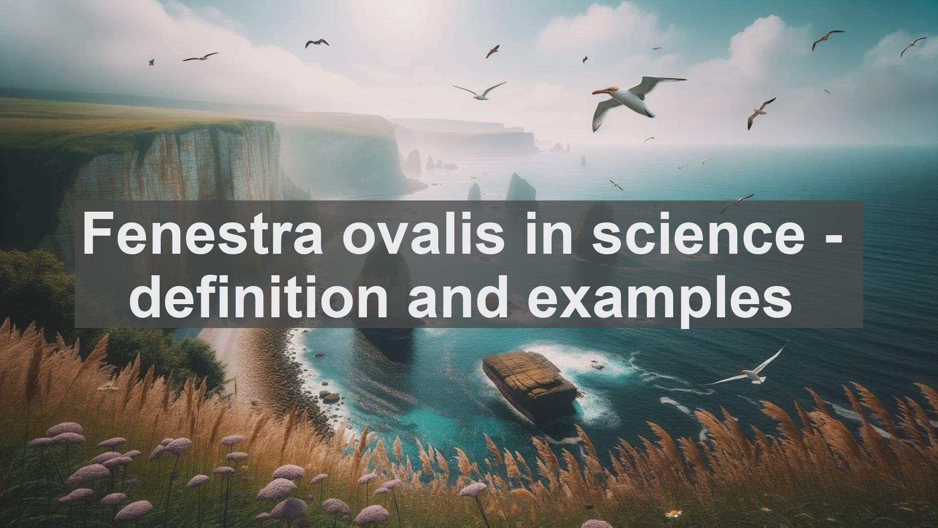'Video thumbnail for Fenestra ovalis in science  definition and examples'