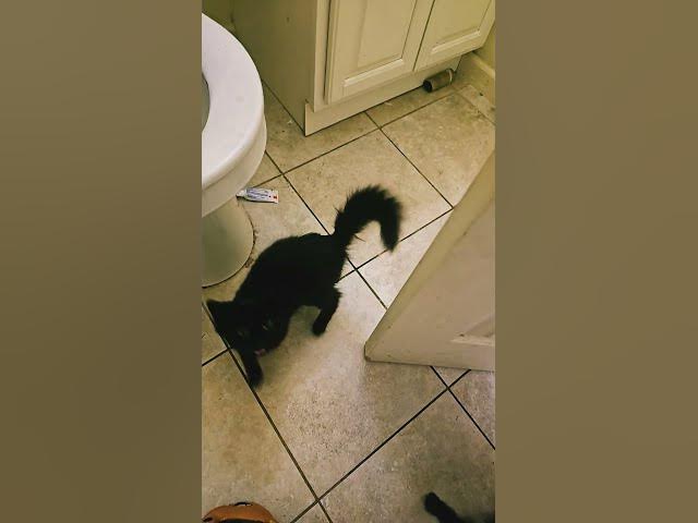 Video thumbnail for October 3, 2025