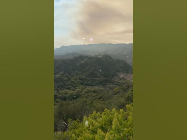 Video thumbnail for AMAZING  FOREST ￼