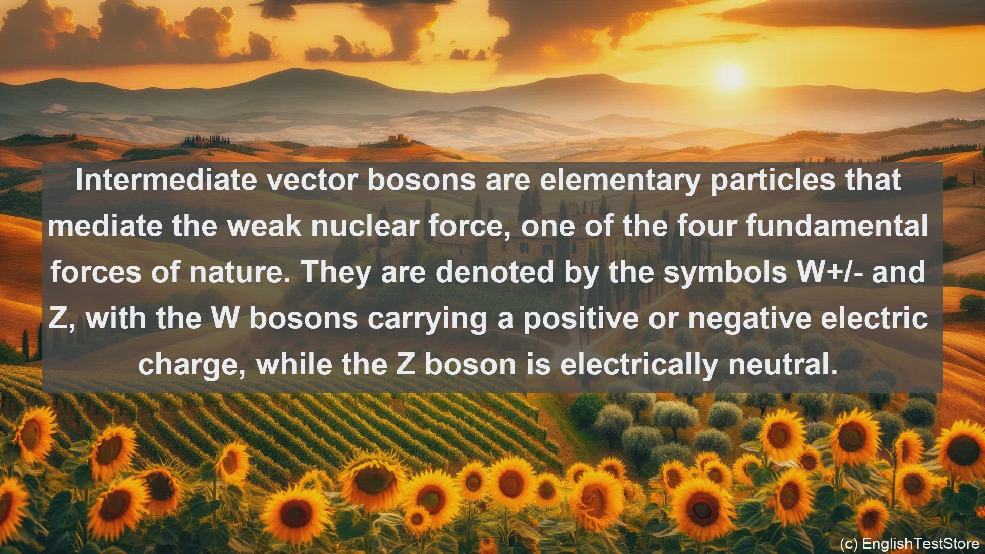 'Video thumbnail for Intermediate vector bosons in science  definition and examples'