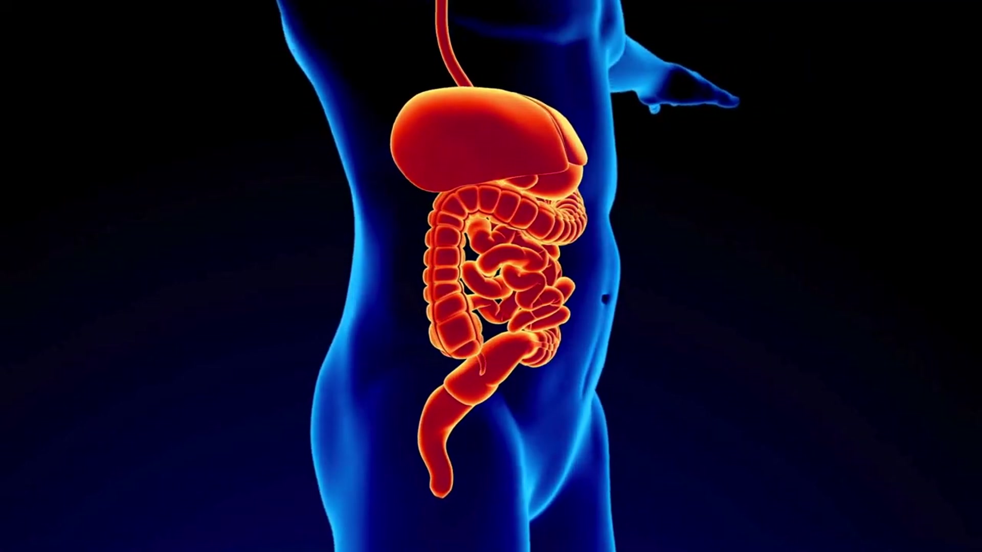 Video thumbnail for The Natural Gut Healer: Why Ginger Tea is Better Than Medicine