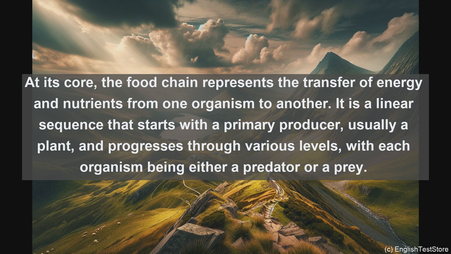 'Video thumbnail for Food chain in science  definition and examples'