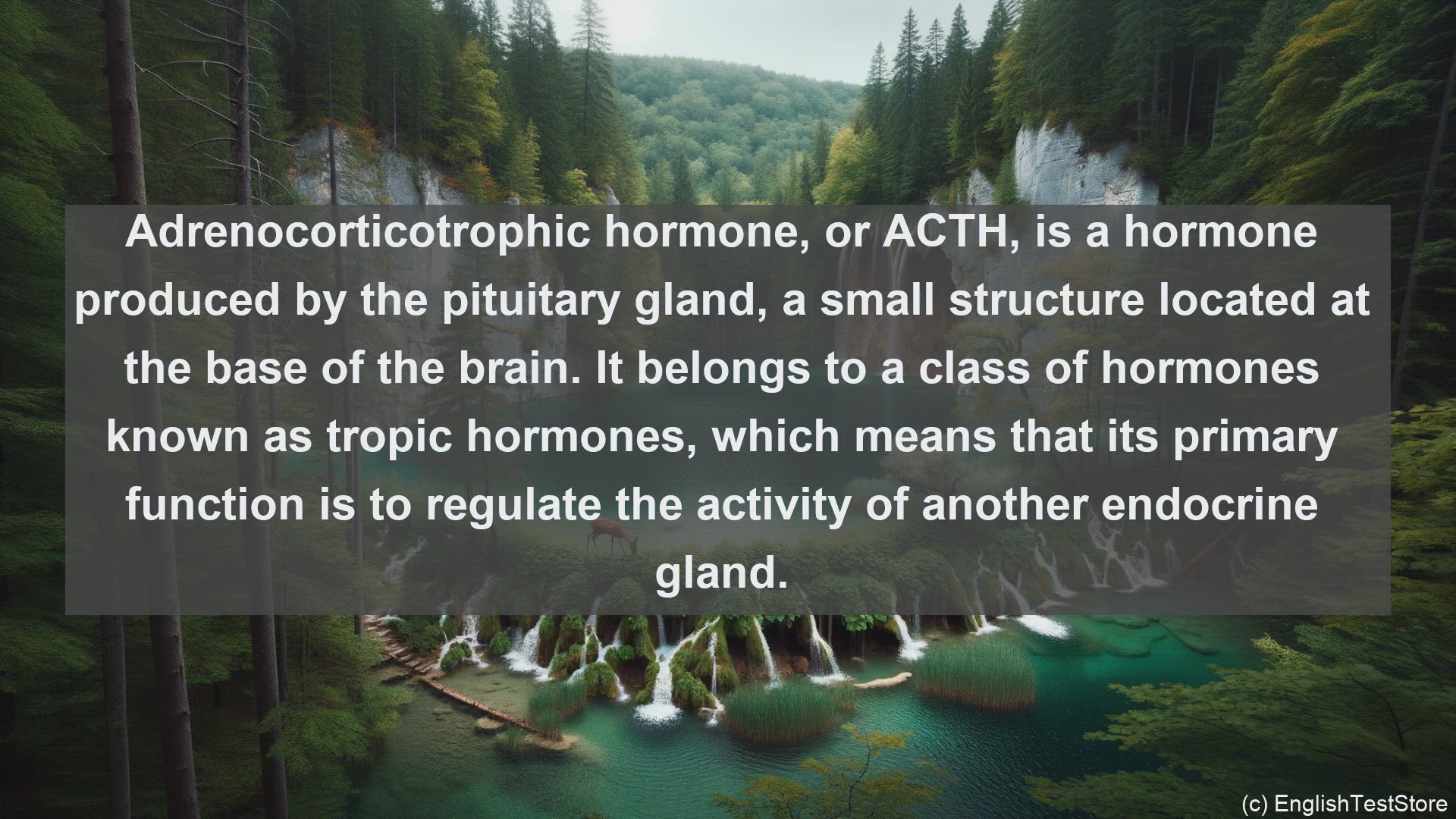 'Video thumbnail for Adrenocorticotrophic hormone in science  definition and examples'