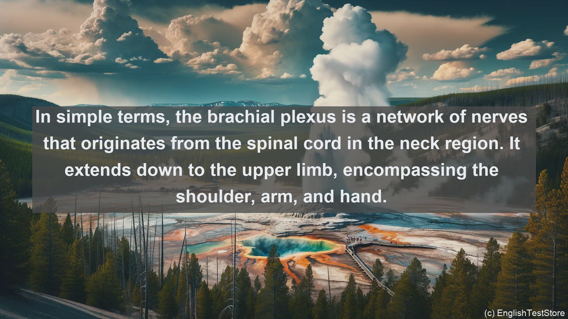 'Video thumbnail for Brachial plexus in science  definition and examples'