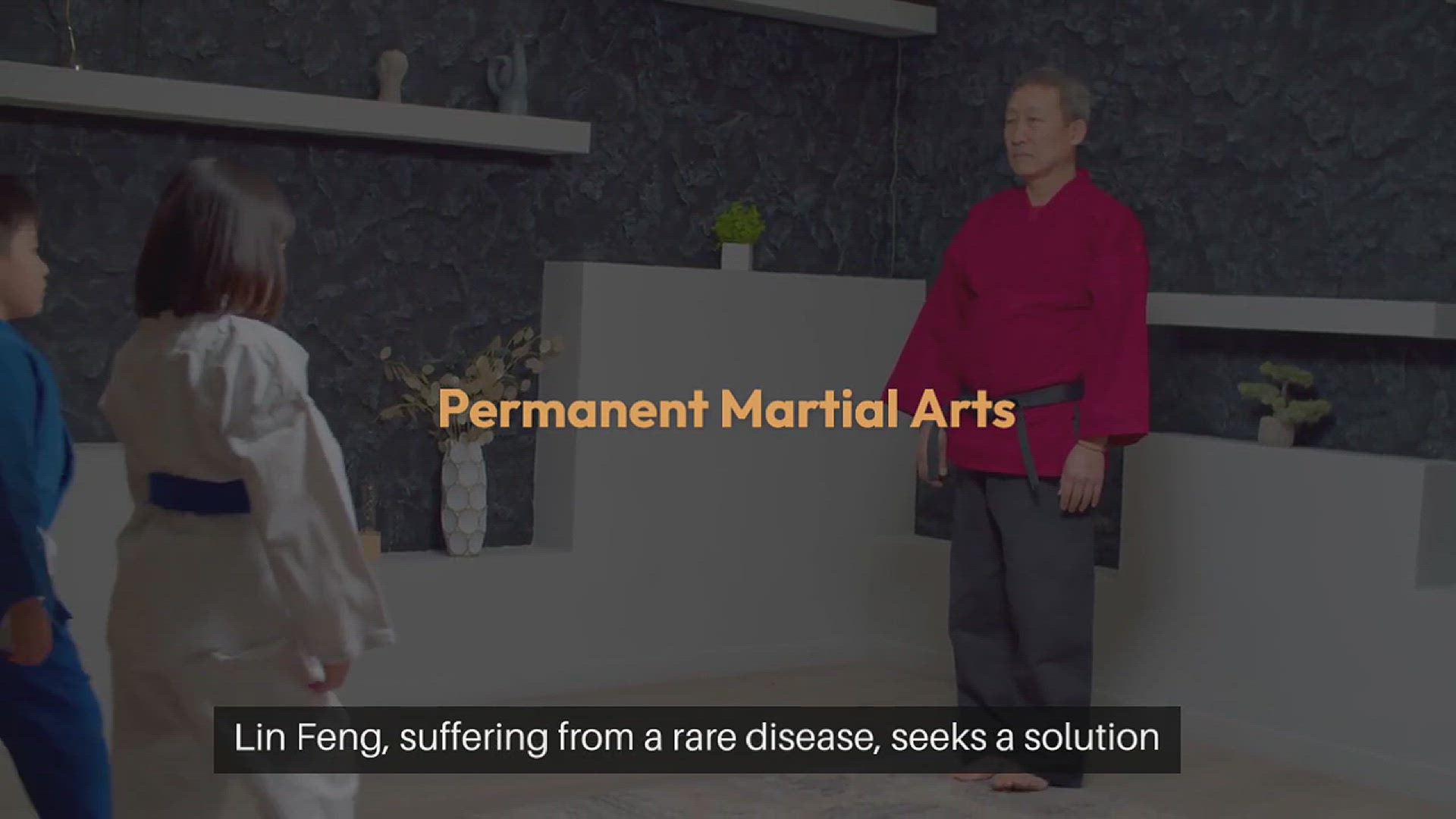 'Video thumbnail for Permanent Martial Arts Chapter 1 SUMMARY'