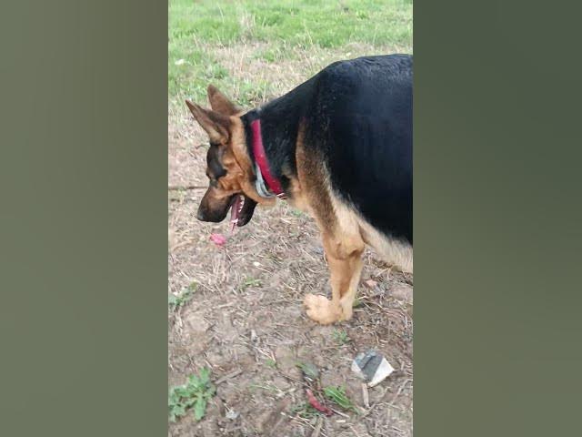 Video thumbnail for 26 aprilie 2024