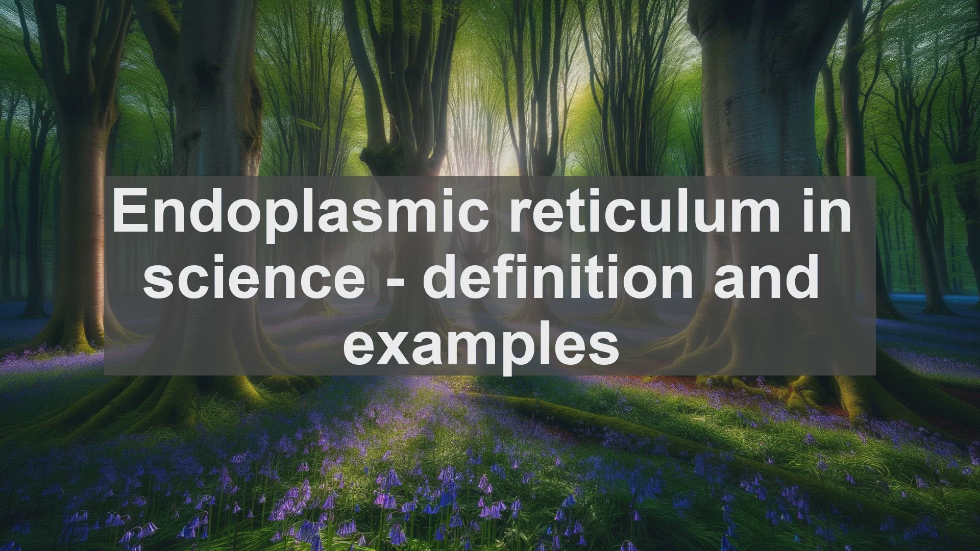 'Video thumbnail for Endoplasmic reticulum in science  definition and examples'