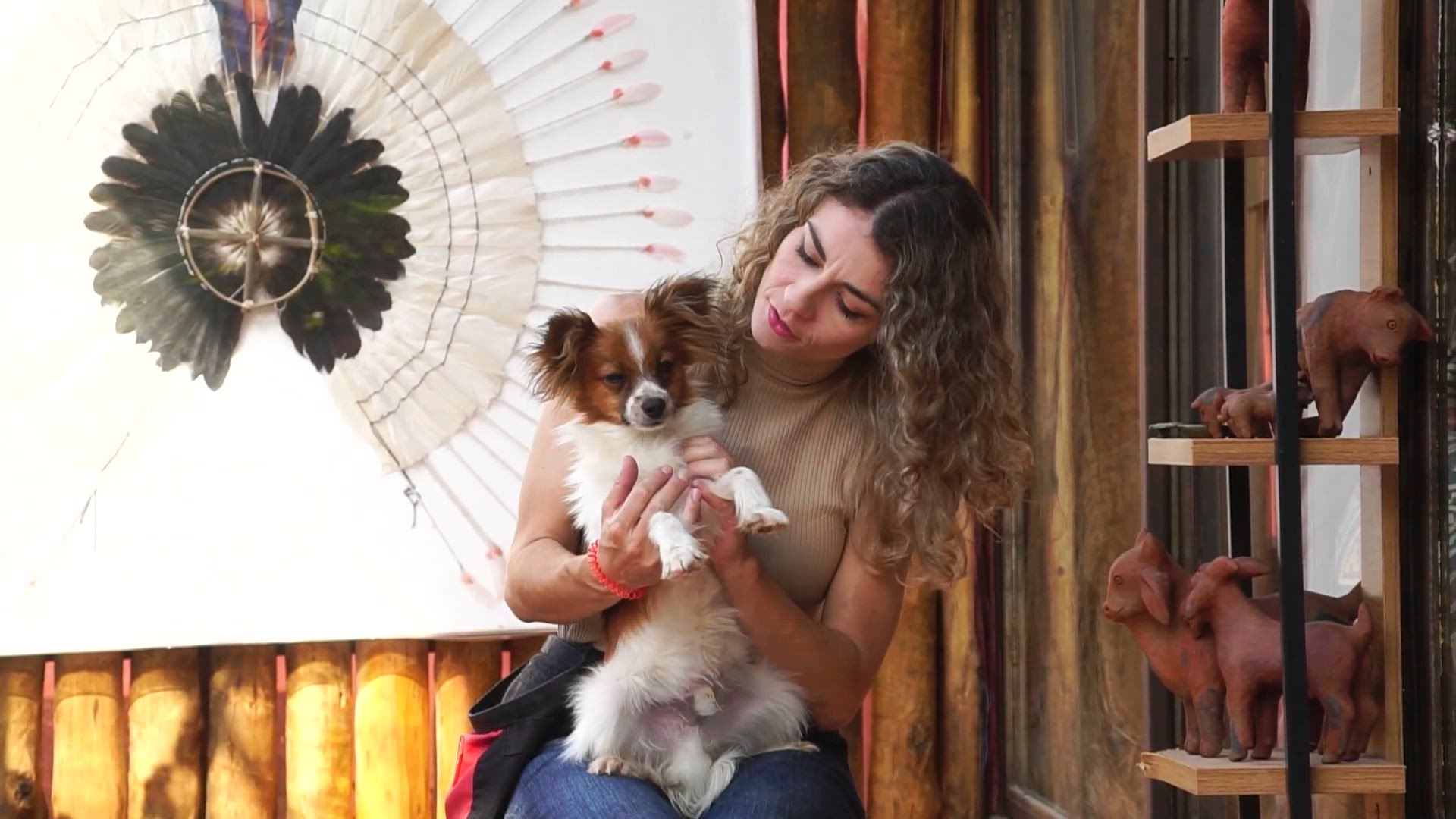 'Video thumbnail for 5 Truques Fáceis e Divertidos Para Ensinar ao Seu Cão! 🐾✨'
