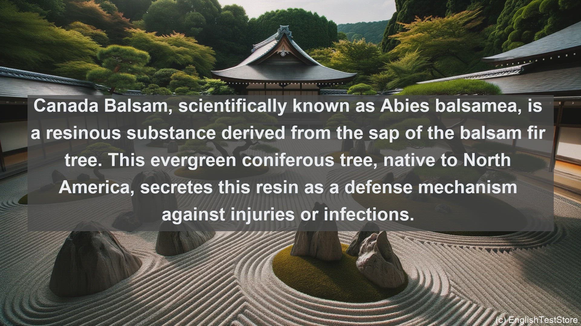 'Video thumbnail for Canada balsam in science  definition and examples'