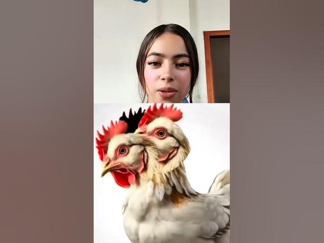 Video thumbnail for Reto imposible de lograr #relsviralシ #RetoViral #Entretenimiento #retosmentales