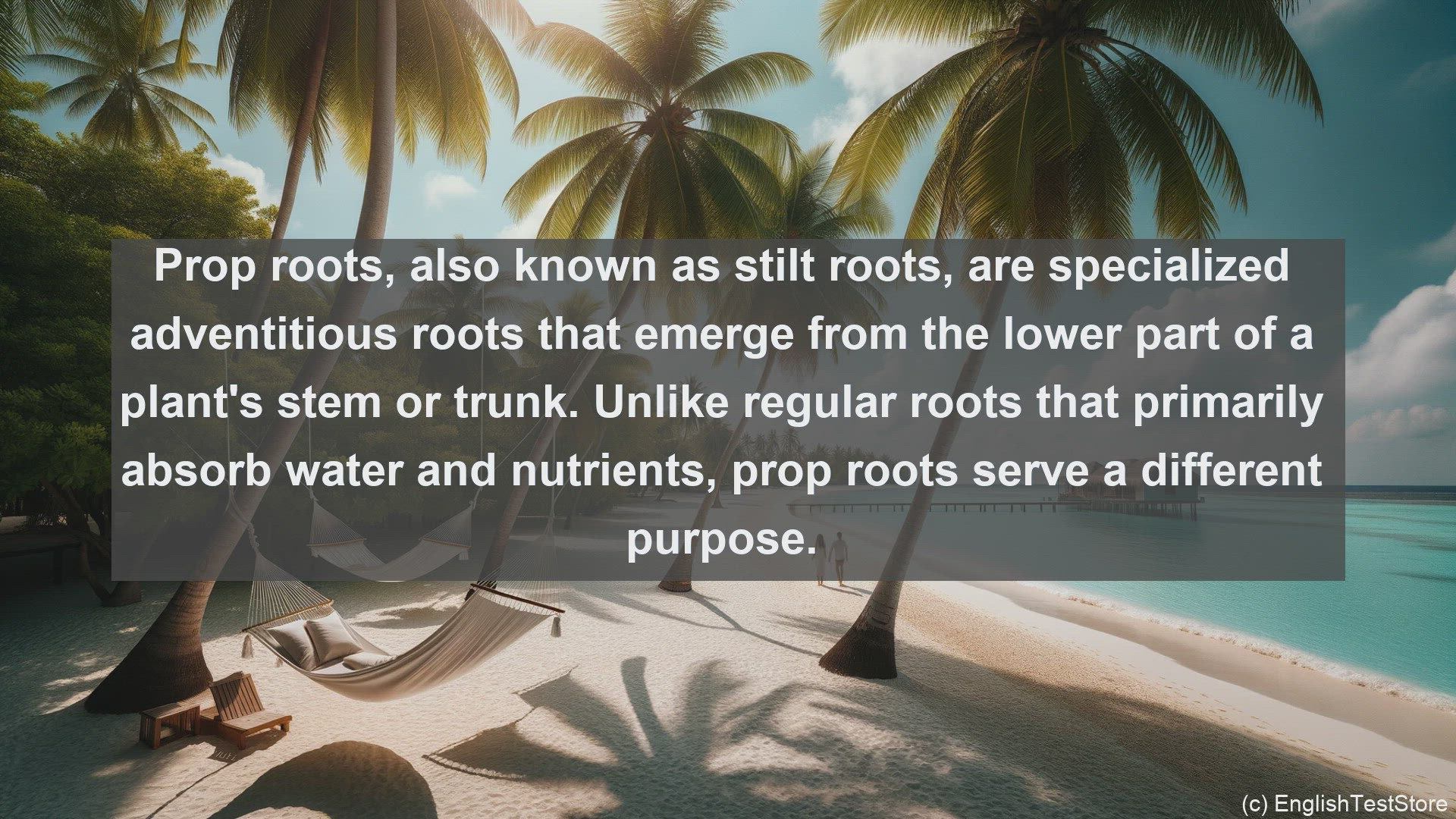 'Video thumbnail for Prop root in science  definition and examples'