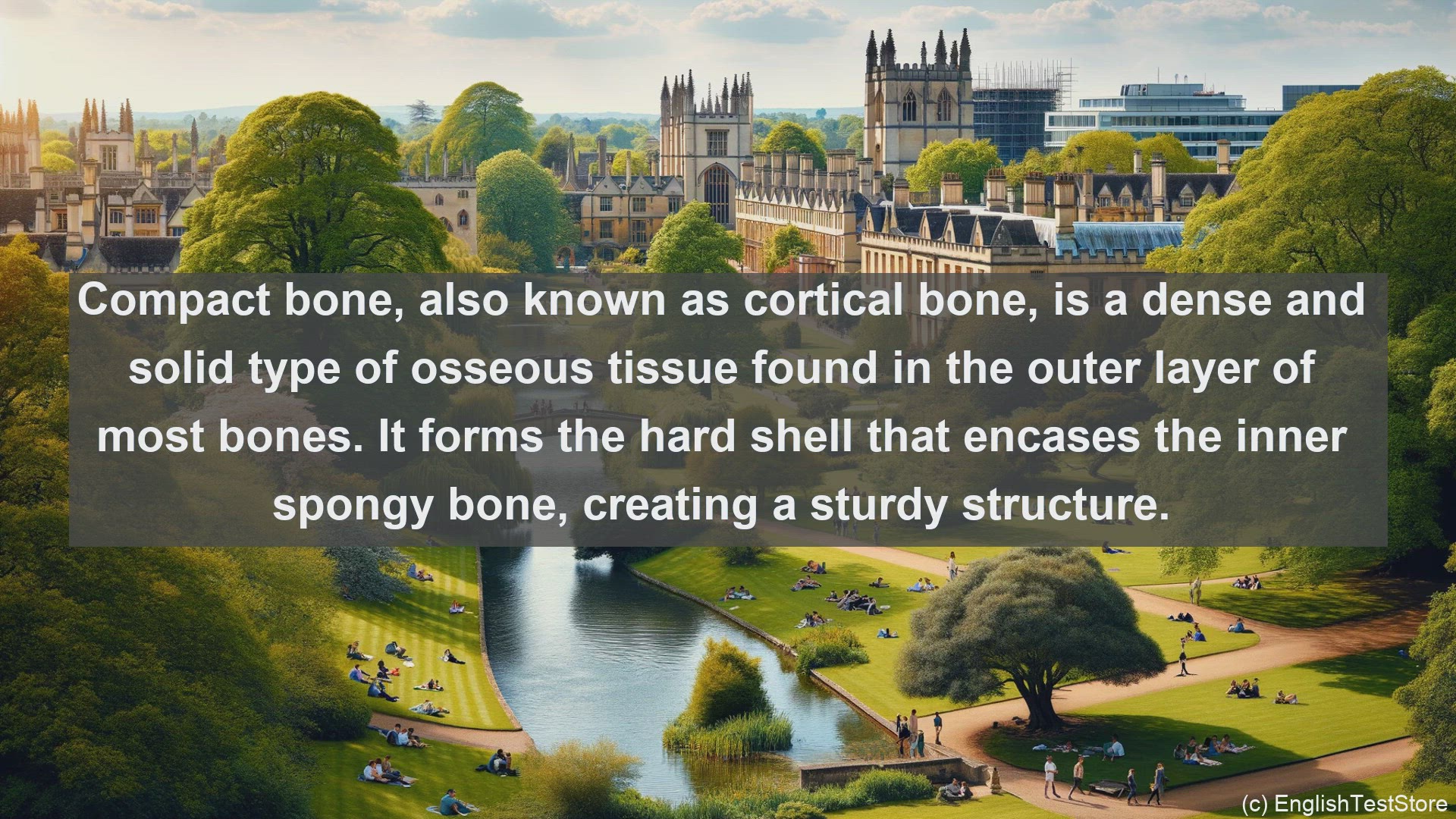 'Video thumbnail for Compact bone in science  definition and examples'
