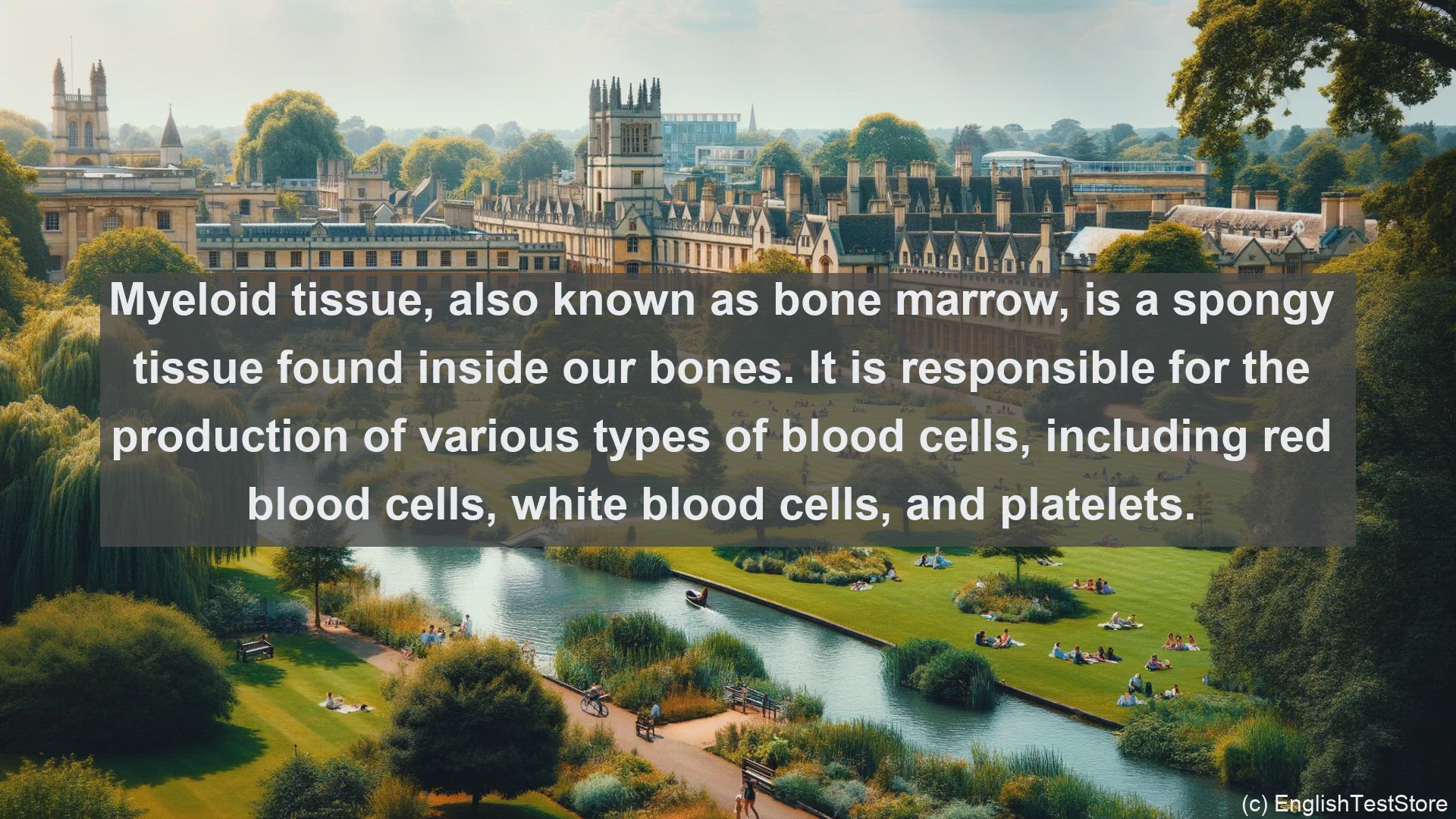 'Video thumbnail for Myeloid tissue in science  definition and examples'