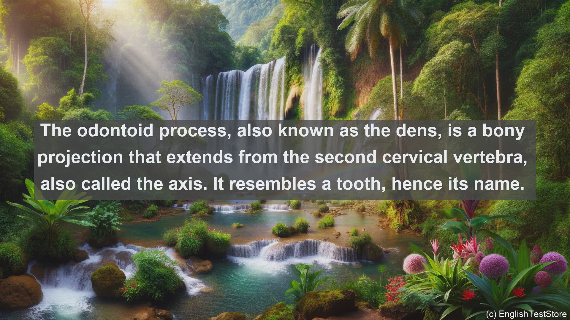 'Video thumbnail for Odontoid process in science  definition and examples'