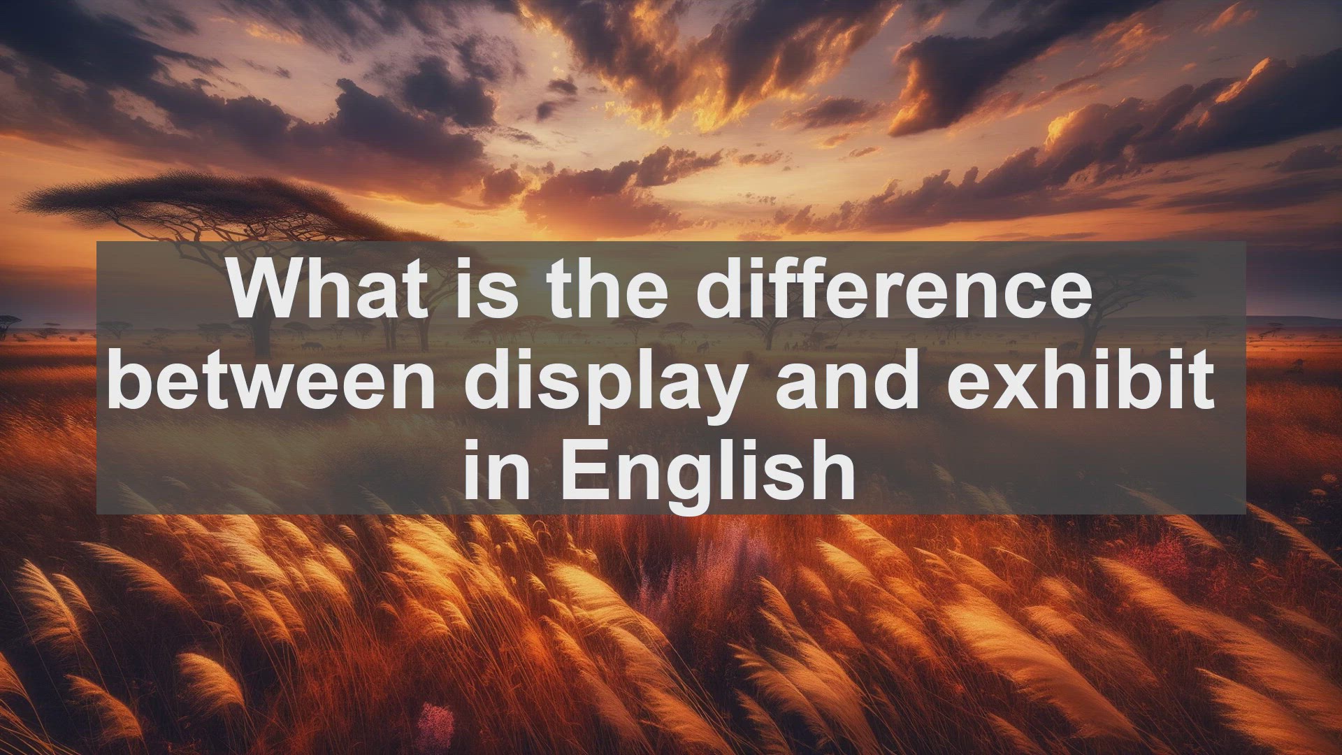 'Video thumbnail for What is the difference between display and exhibit in English?'