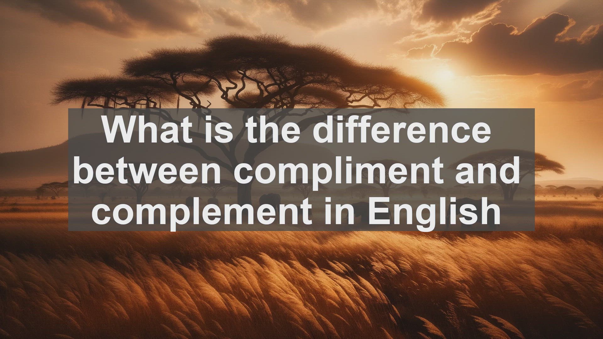 'Video thumbnail for What is the difference between compliment and complement in English?'