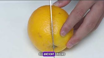 'Video thumbnail for "Exploring the Zesty World of Lemons: 10 Fun Facts You Didn't Know!"'
