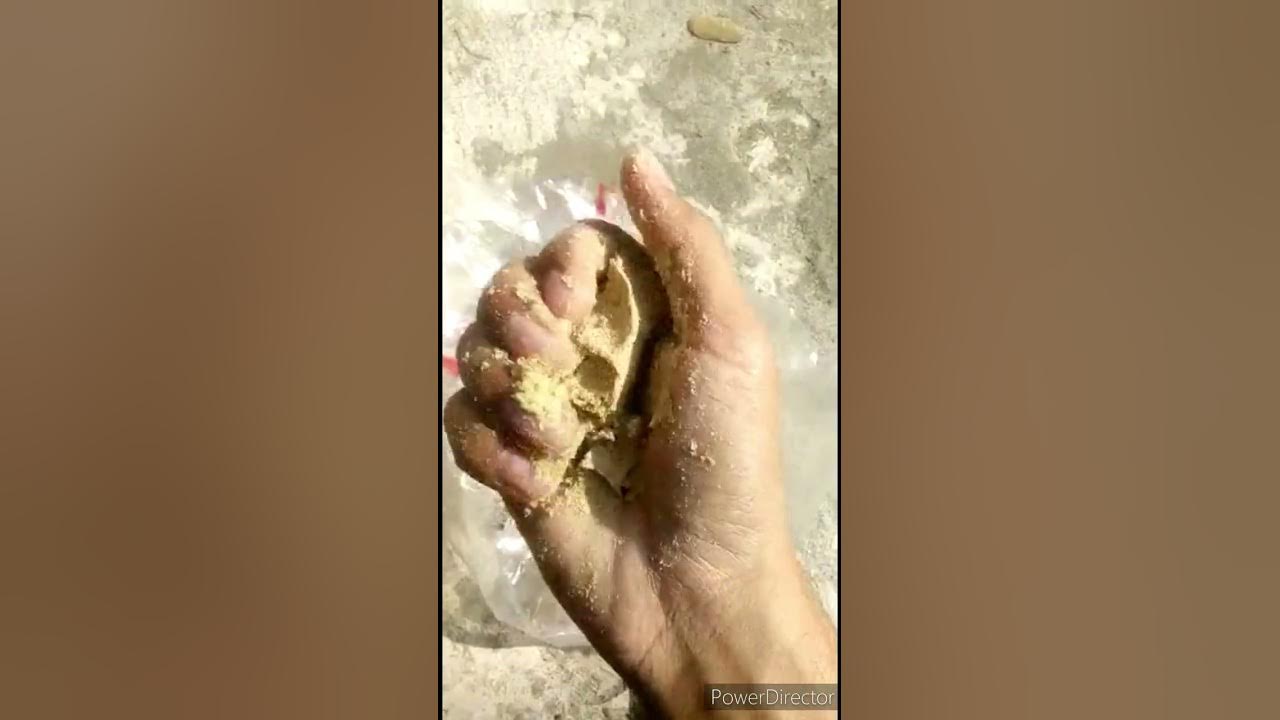 Video thumbnail for অটো রাইস মিলের তেল যুক্ত রাইস ব্রান না পালিশ যেভাবে চিনতে পারনেন। Rice Bran