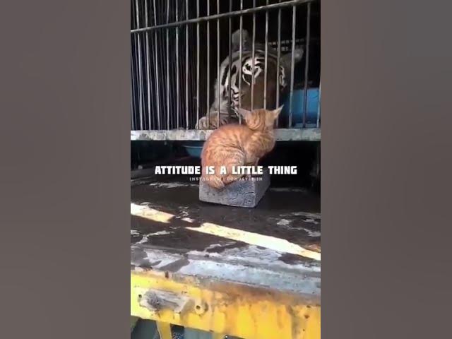 Video thumbnail for it's All In The Timing