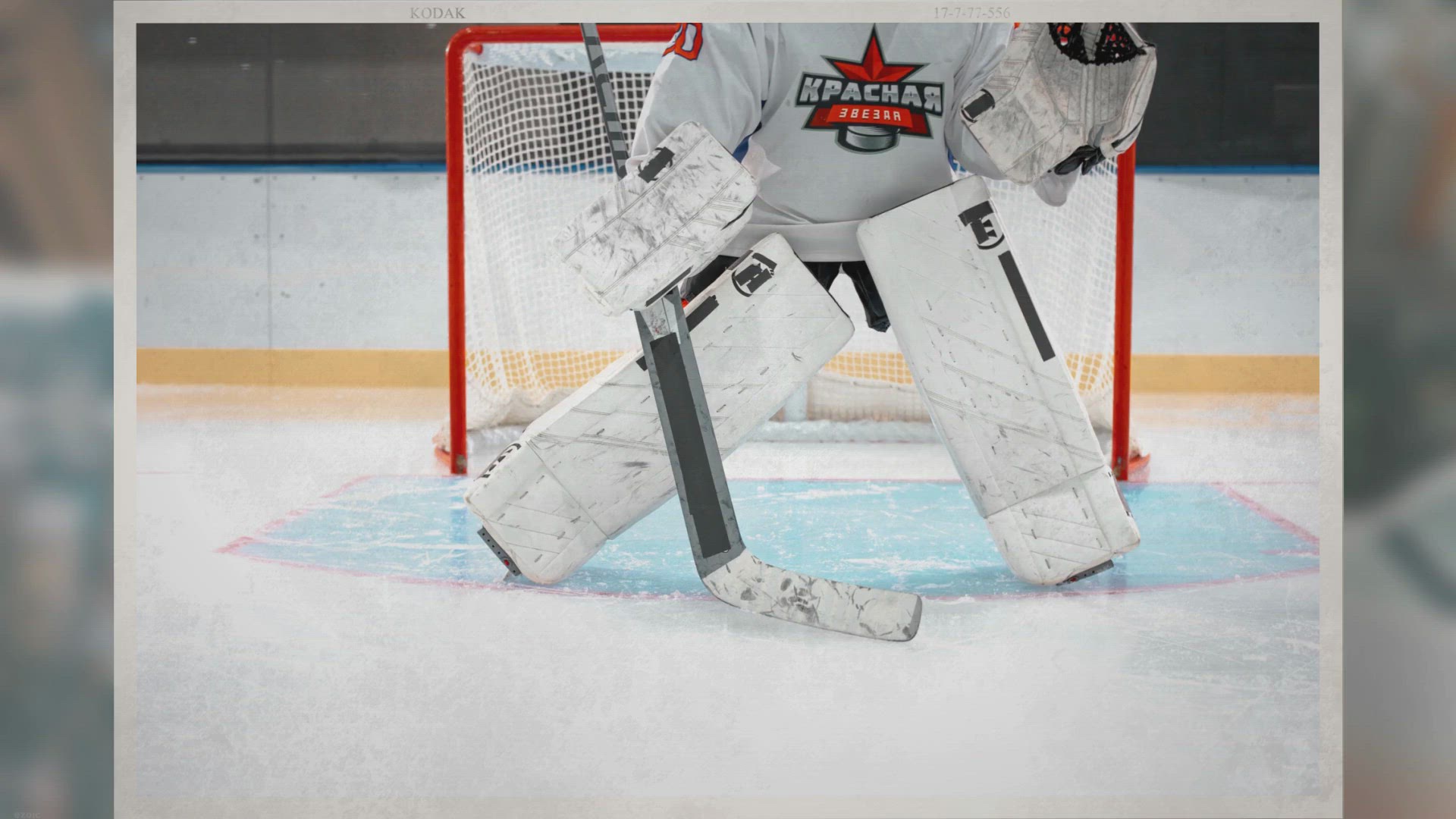 Playlist thumbnail for Chicago Wolves