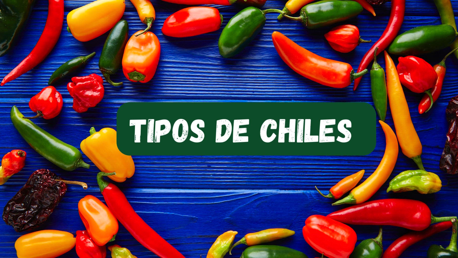 'Video thumbnail for Conoce los tipos de chiles más usados en la cocina mexicana'