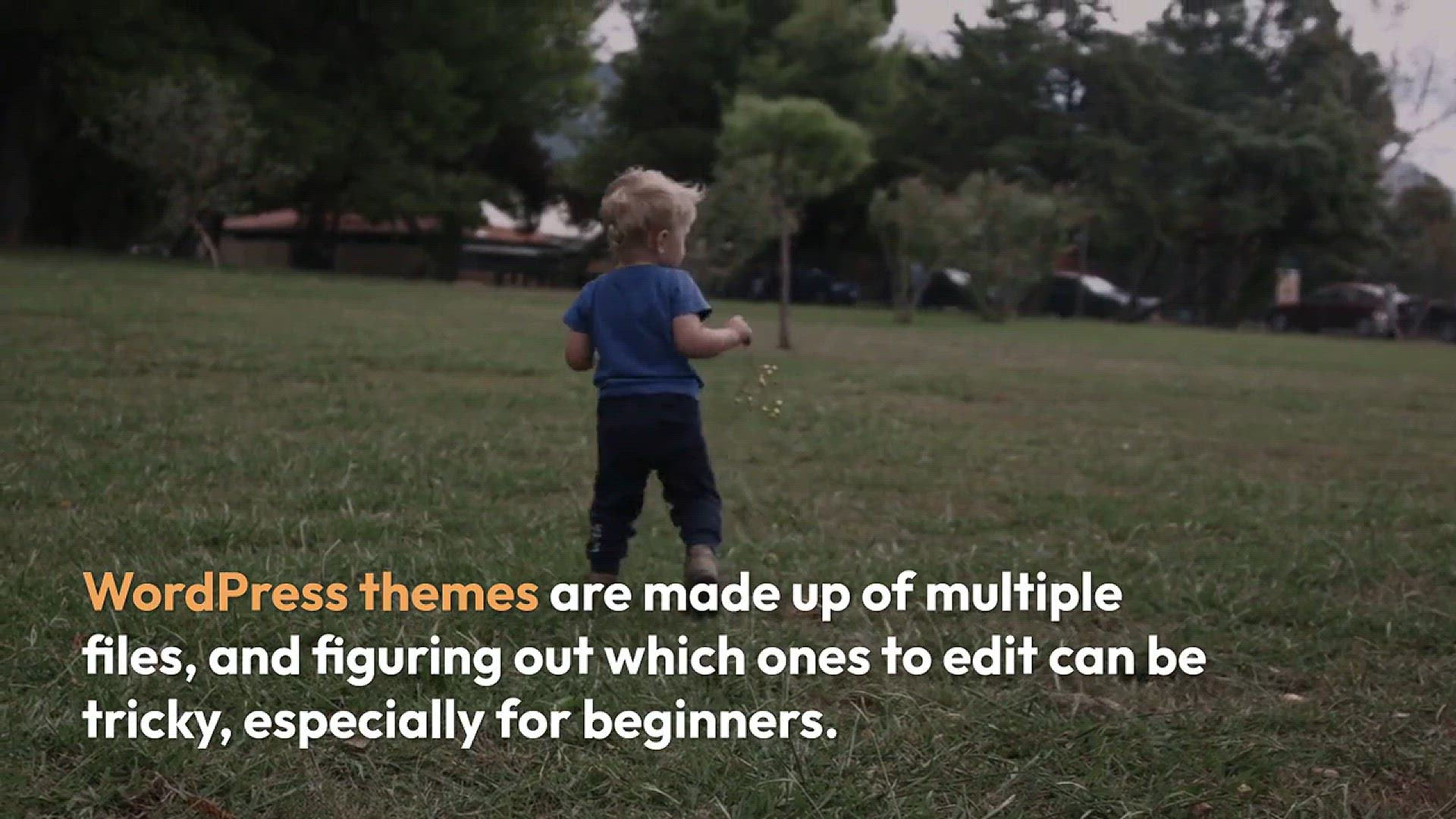 'Video thumbnail for How to Find Which Files to Edit in WordPress Theme'